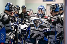 Eishockey, Herren, DEL, Saison 2024-2025, Spieltag 16, Nürnberg Ice Tigers - ERC Ingolstadt, 15.11.2024