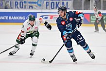 Eishockey, Mens, CHL, Season 2023-2024, ERC Ingolstadt - Färjestad Karlstad, 02.09.2023