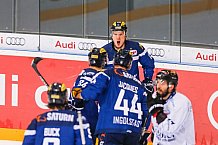 ERC Ingolstadt - Straubing Tigers, Eishockey, DEL, Deutsche Eishockey Liga, Spieltag 16, 24.01.2017
