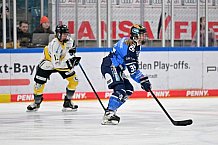 Eishockey, Frauen, DFEL, Saison 2023-2024, ERC Ingolstadt - Mad Dogs Mannheim, 18.02.2024