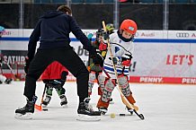 Eishockey, Herren, DEL, Saison 2024-2025, ERC Ingolstadt - Kids On Ice Day, 11.01.2025
