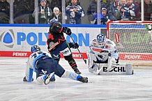Eishockey, Herren, DEL, Saison 2024-2025, Spieltag 39, Straubing Tigers - ERC Ingolstadt, 24.01.2025
