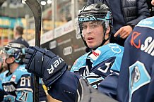Eishockey, Herren, DEL, Saison 2022-2023, Spieltag 58, ERC Ingolstadt - Bietigheim Steelers, 28.02.2023