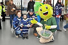 ERC Ingolstadt vs Iserlohn Roosters, Eishockey, DEL, Deutsche Eishockey Liga, Spieltag 27, 11.12.2016