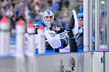 Eishockey, Herren, DEL, Saison 2025-2026, Spiel 40, ERC Ingolstadt - Straubing Tigers, 16.01.2026