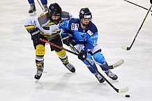 Eishockey, Frauen, DFEL, Saison 2020-2021, ERC Ingolstadt - Mad Dogs Mannheim, 30.01.2021