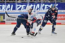 Eishockey, Herren, DEL, Saison 2024-2025, Spieltag 17, ERC Ingolstadt - Adler Mannheim, 17.11.2024