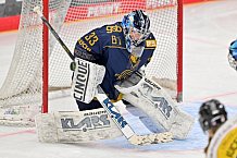 Eishockey, Frauen, DFEL, Saison 2022-2023, ERC Ingolstadt - Mad Dogs Mannheim, 20.11.2022