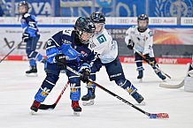 Eishockey, Herren, DEL, Saison 2024-2025, Spieltag 26, ERC Ingolstadt - Iserlohn Roosters, 15.12.2024