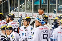 ERC Ingolstadt vs Hamburg Freezers, Eishockey, DEL, Deutsche Eishockey Liga, Spieltag 43, 05.02.2016, Foto: st.foto.de / Oliver STRISCH

