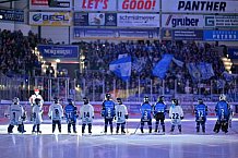 Eishockey, Herren, DEL, Saison 2024-2025, Spieltag 36, ERC Ingolstadt - Kölner Haie, 12.01.2025
