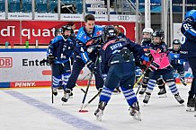 Eishockey, Saison 2025-2026, ERC Ingolstadt - Kids On Ice Day, 29.11.2025