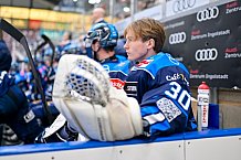 Eishockey, Herren, DEL, Saison 2025-2026, Spiel 33, ERC Ingolstadt - Grizzlys Wolfsburg, 28.12.2025