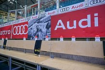 Eishockey, Herren, DEL, Saison 2024-2025, Spieltag 42, ERC Ingolstadt - Kölner Haie, 31.01.2025