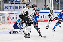 Eishockey, Herren, DEL, Saison 2025-2026, Spiel 16, ERC Ingolstadt - Kölner Haie, 31.10.2025