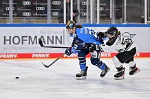 Eishockey, Frauen, DFEL, Saison 2023-2024, ERC Ingolstadt - Amsterdam Tigers, 06.01.2024