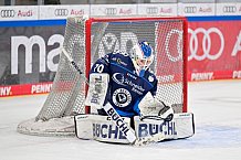 Eishockey, Frauen, DFEL, Saison 2024-2025, ERC Ingolstadt - Mad Dogs Mannheim, 23.11.2024