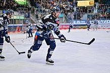 Eishockey, Herren, DEL, Saison 2024-2025, Spieltag 49, ERC Ingolstadt - Straubing Tigers, 28.02.2025