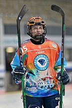 Eishockey, Frauen, DFEL, Saison 2024-2025, ERC Ingolstadt - Mad Dogs Mannheim, 23.11.2024