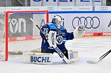Eishockey, Frauen, DFEL, Saison 2025-2026, ERC Ingolstadt - Eisbären Berlin, 18.01.2026