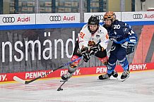 Eishockey, Frauen, DFEL, Saison 2024-2025, ERC Ingolstadt - EC Bergkamener Bären, 12.10.2024
