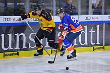 ERC Ingolstadt Legenden vs Sternstunden-Mannschaft, 23.02.2020