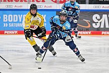 Eishockey, Frauen, DFEL, Halbfinale, Saison 2022-2023, ERC Ingolstadt - Mad Dogs Mannheim, 25.02.2023