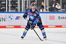 Eishockey, Herren, DEL, Saison 2023-2024, Spieltag 23, ERC Ingolstadt - Straubing Tigers, 01.12.2023