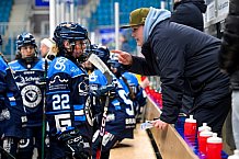Eishockey, Frauen, DFEL, Saison 2025-2026, Testspiel, ERC Ingolstadt - HC Davos, 14.02.2026