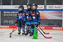Eishockey, Herren, DEL, Saison 2024-2025, ERC Ingolstadt - Kids On Ice Day, 11.01.2025