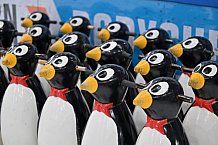 Eishockey, Herren, DEL, Saison 2022-2023, ERC Ingolstadt - Kids On Ice Day, 14.01.2023