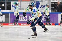 Eishockey, Frauen, DFEL, Saison 2022-2023, ERC Ingolstadt - EC Bergkamener Bären, 18.02.2023