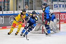 Eishockey, U20, DNL, Saison 2024-2025, ERC Ingolstadt - Krefelder EV 81, 01.03.2025
