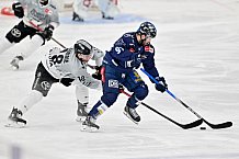 Eishockey, Herren, DEL, Saison 2024-2025, Playoffs Halbfinale, Spiel 1, ERC Ingolstadt - Kölner Haie, 02.04.2025