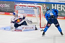 Eishockey, Herren, DEL, Saison 2025-2026, Spiel 31, ERC Ingolstadt - EHC Red Bull München, 23.12.2025