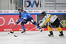 Eishockey, Frauen, DFEL, Saison 2023-2024, ERC Ingolstadt - Mad Dogs Mannheim, 18.02.2024