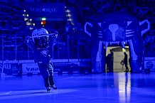 Eishockey, Herren, DEL, Saison 2024-2025, Spieltag 25, ERC Ingolstadt - Pinguins Bremerhaven, 12.12.2024