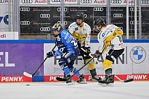 Eishockey, Frauen, DFEL, Saison 2023-2024, ERC Ingolstadt - Mad Dogs Mannheim, 18.02.2024