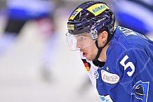 ERC Ingolstadt vs Schwenninger Wild Wings, DEL, Deutsche Eishockey Liga, Spieltag 48, 19.02.2019