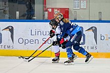 Eishockey, Frauen, DFEL, Saison 2024-2025, ERC Ingolstadt - HK Budapest Roster, 12.01.2025