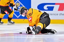 Hockey, Mens, CHL, Season 2025-2026, Regular Season, Game Day 2, ERC Ingolstadt - Kalpa Kuopio, 30.08.2025