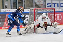 Eishockey, Frauen, DFEL, Saison 2024-2025, ERC Ingolstadt - EC Bergkamener Bären, 04.01.2025