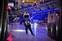 Eishockey, Herren, DEL, Saison 2025-2026, Spiel 11, ERC Ingolstadt - Nürnberg Ice Tigers, 17.10.2025