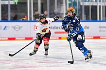 Eishockey, Frauen, DFEL, Saison 2024-2025, ERC Ingolstadt - EC Bergkamener Bären, 05.01.2025