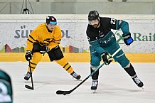 Eishockey, Herren, DEL, Saison 2026-2027, ERC Ingolstadt - HC Verva Litvinov - Steinbach Black Wings Linz, 22.08.2026