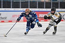 Eishockey, Frauen, DFEL, Saison 2024-2025, ERC Ingolstadt - Mad Dogs Mannheim, 23.11.2024