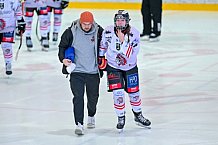 Eishockey, Frauen, DFEL, Saison 2024-2025, ERC Ingolstadt - ECDC Memmingen Indians, 19.01.2025
