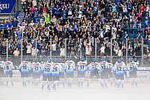 Eishockey, Herren, DEL, Saison 2024-2025, Vorbereitung, ERC Ingolstadt - Dresdner Eislöwen, 18.08.2024