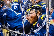 ERC Ingolstadt vs Thomas Sabo Ice Tigers, Eishockey, DEL, Deutsche Eishockey Liga, Spieltag 34,  03.01.2017