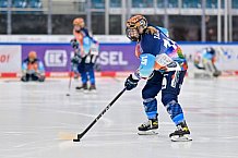 Eishockey, Frauen, DFEL, Saison 2024-2025, ERC Ingolstadt - Mad Dogs Mannheim, 23.11.2024